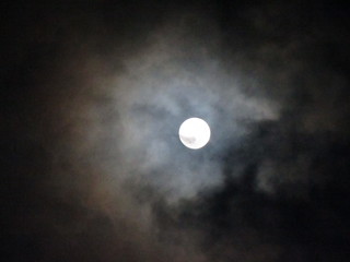月明かり.JPG